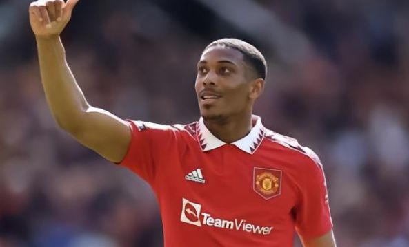 年輕新星 年輕新星